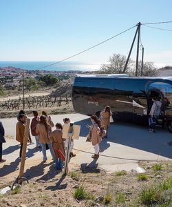 Catamaran Sailing with Ecologic Wine Tasting- Small Group