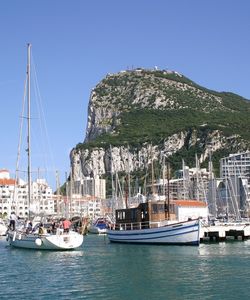 Gibraltar Sightseeing Full-Day Tour from Costa del Sol