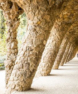 Park Guell Guided Walking Tour- Skip the Line