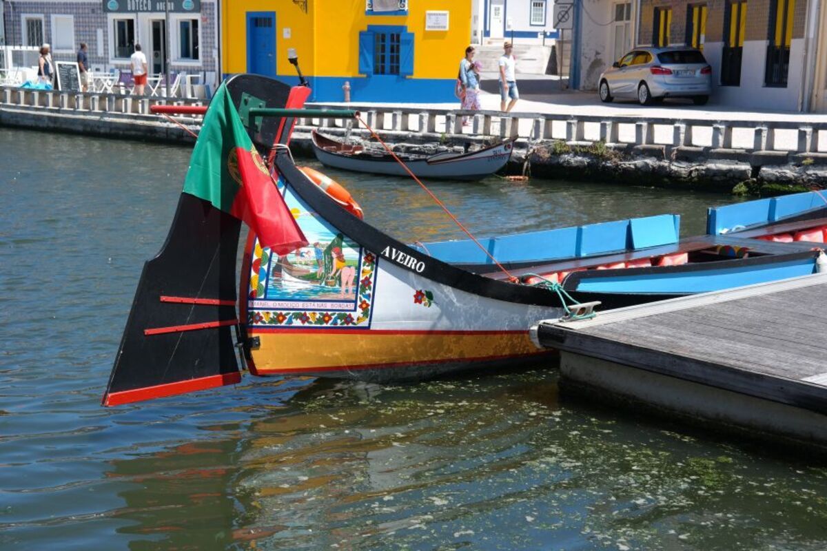 Gray Line - Aveiro Tour