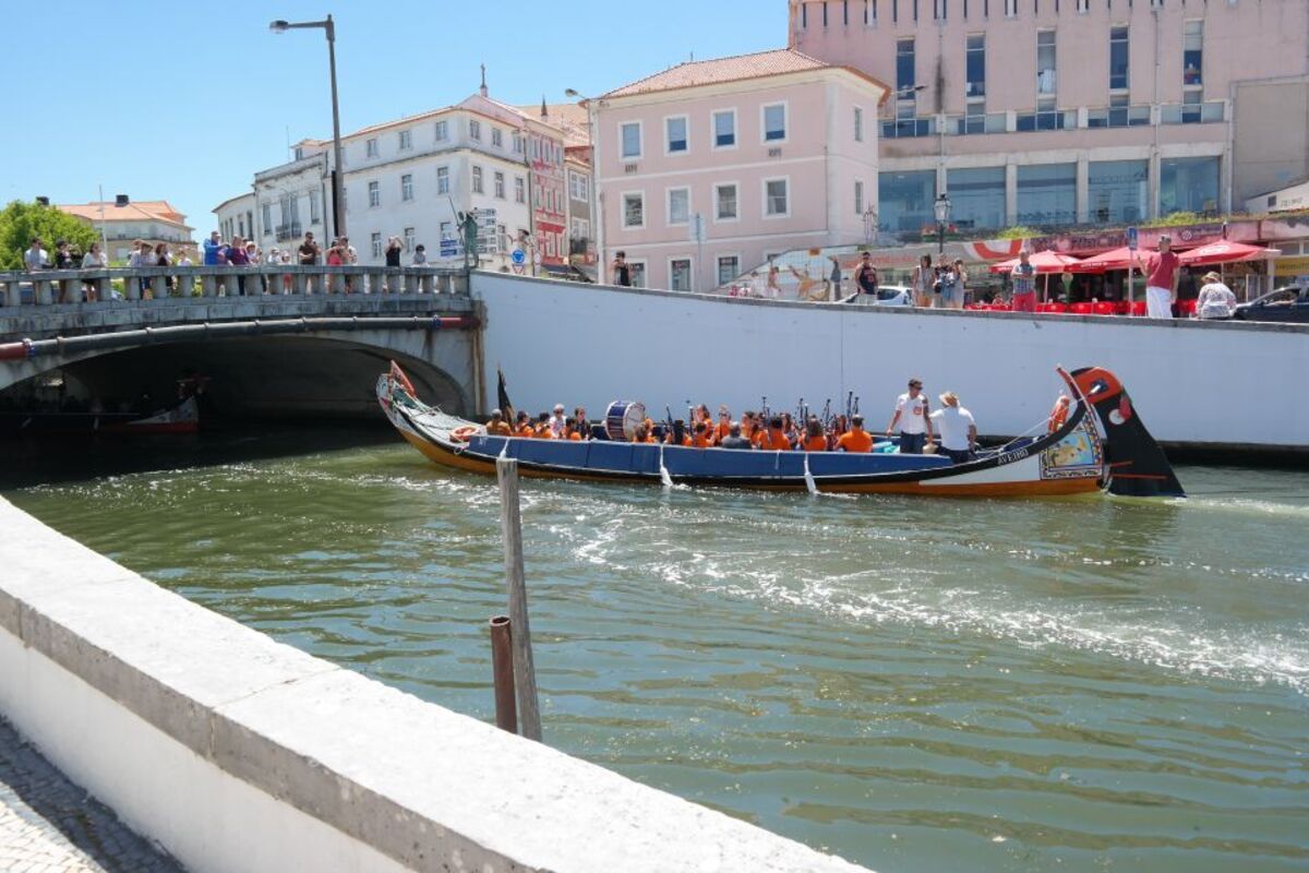 Gray Line - Aveiro Tour