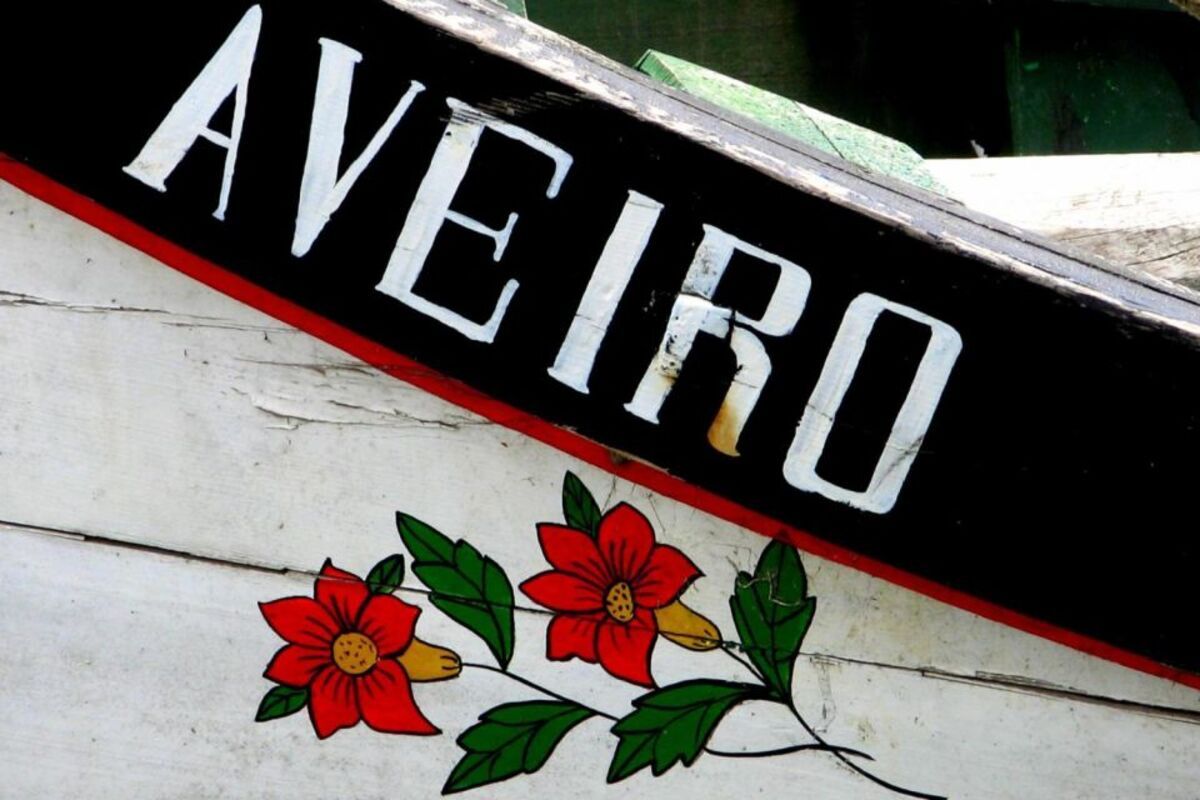 Gray Line - Aveiro Tour
