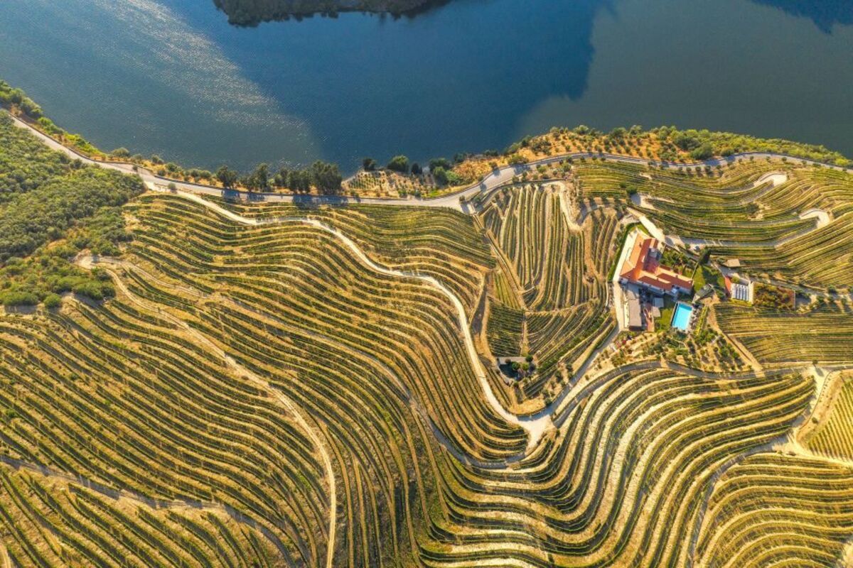 Gray Line - Douro Tour