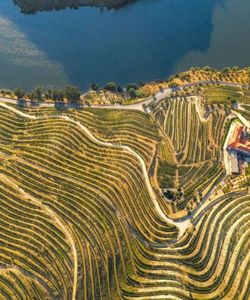 Full Day Historical Tour to the Douro Valley