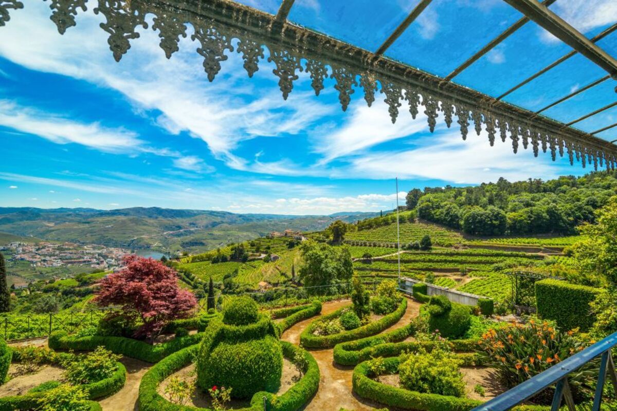 Gray Line - Douro Tour