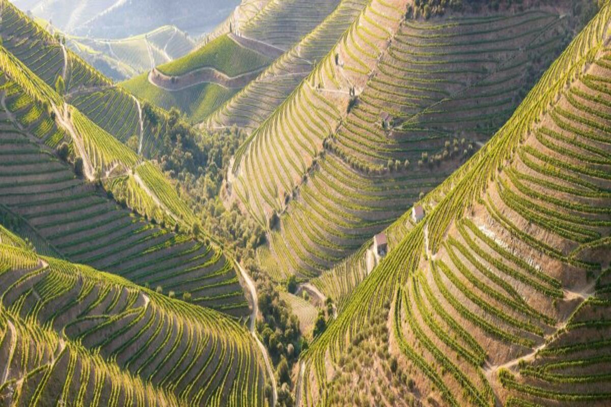 Gray Line - Douro Tour