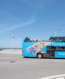 Gray Line: Porto Hop-On, Hop-Off Bus Tour & Wine Cellars