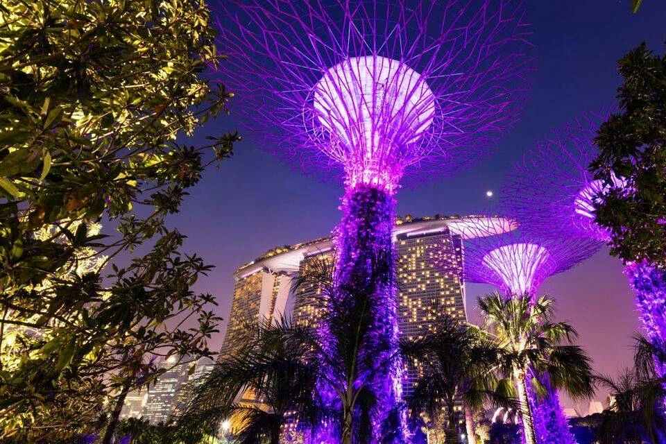FunVee Singapore: Night Tour by Open-Top Bus