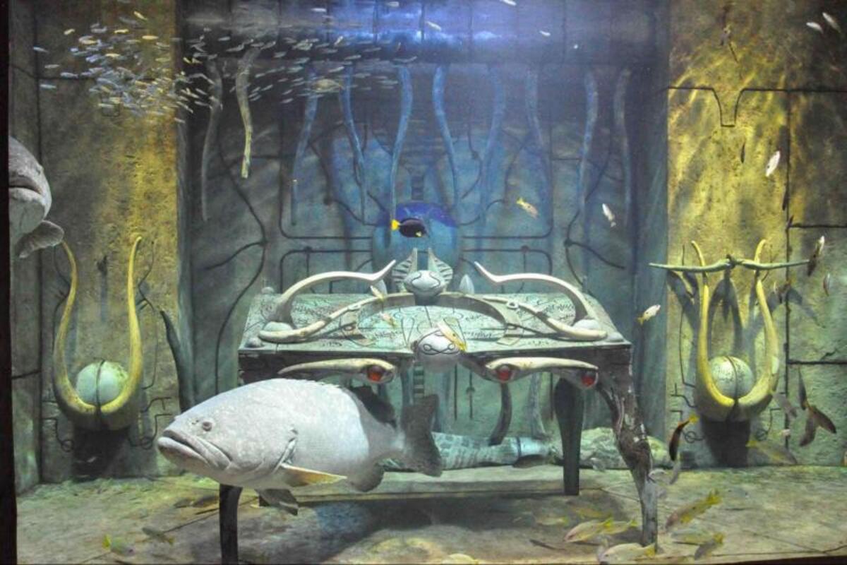 Atlantis Aqua Park Plus: Lost Chamber Dubai