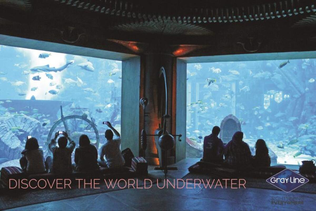 Atlantis Aqua Park Plus: Lost Chamber Dubai