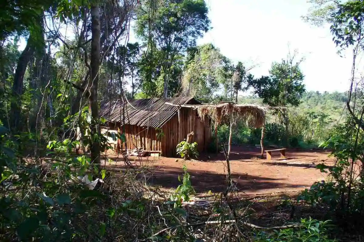 Guided Tour to Guarani Village from Puerto Iguassu