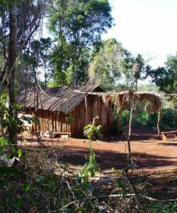 Guided Tour to Guarani Village from Puerto Iguassu