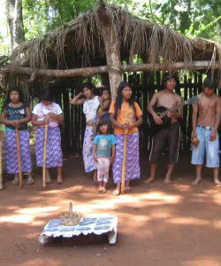 Guided Tour to Guarani Village from Puerto Iguassu