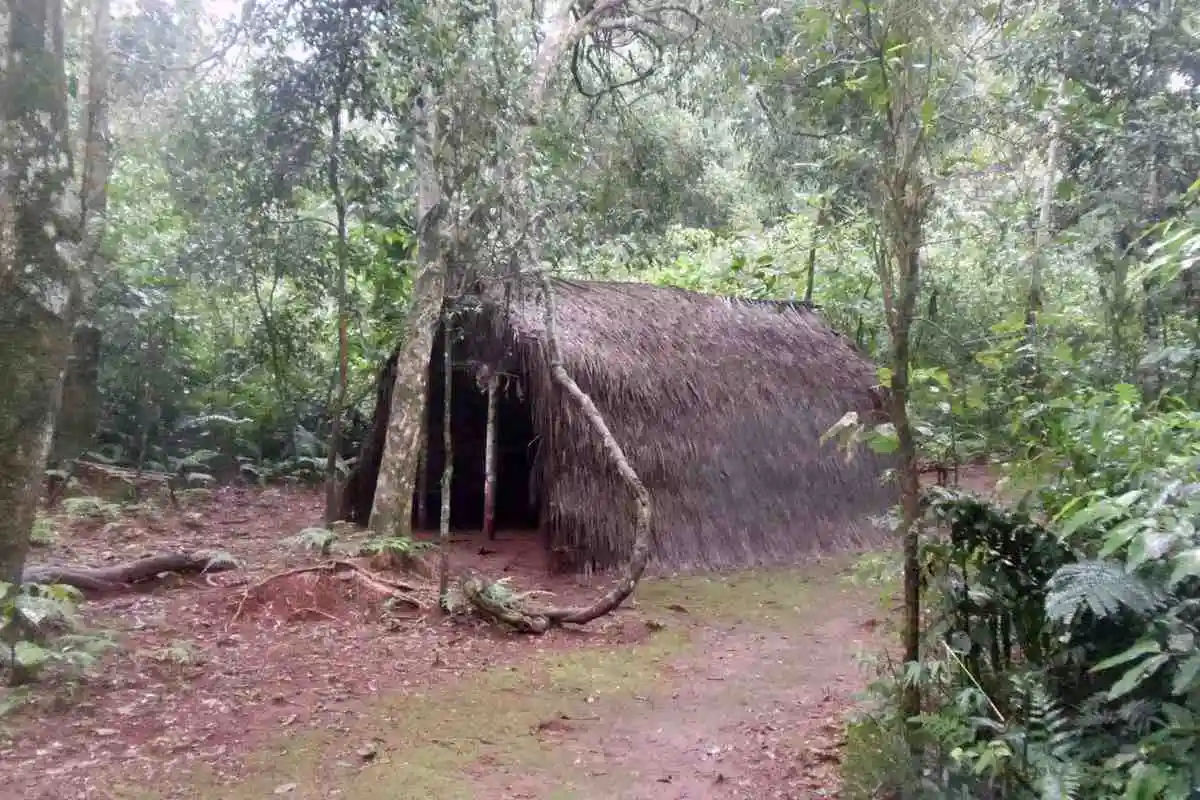 Guided Tour to Guarani Village from Puerto Iguassu