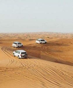 Premium 4×4 Desert Safari with BBQ Dinner