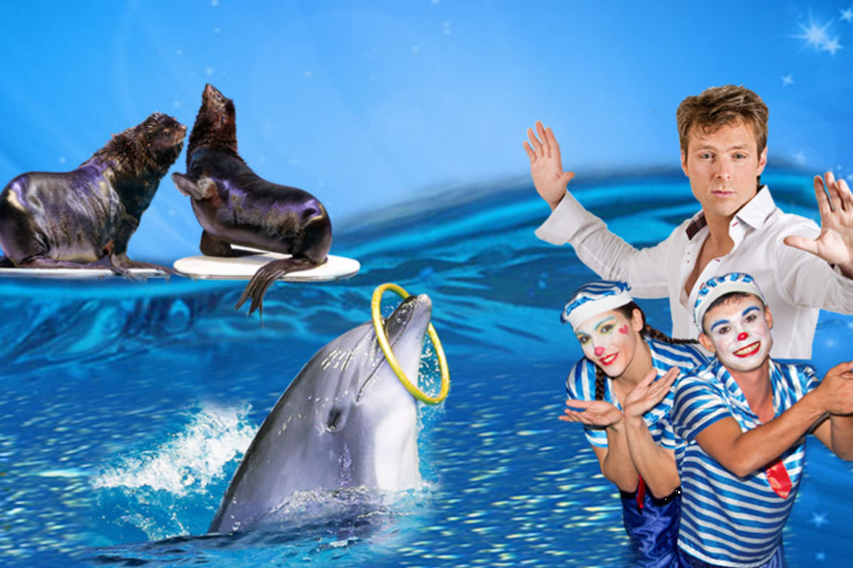 Dubai Dolphinarium: Dolphin and Seal Show