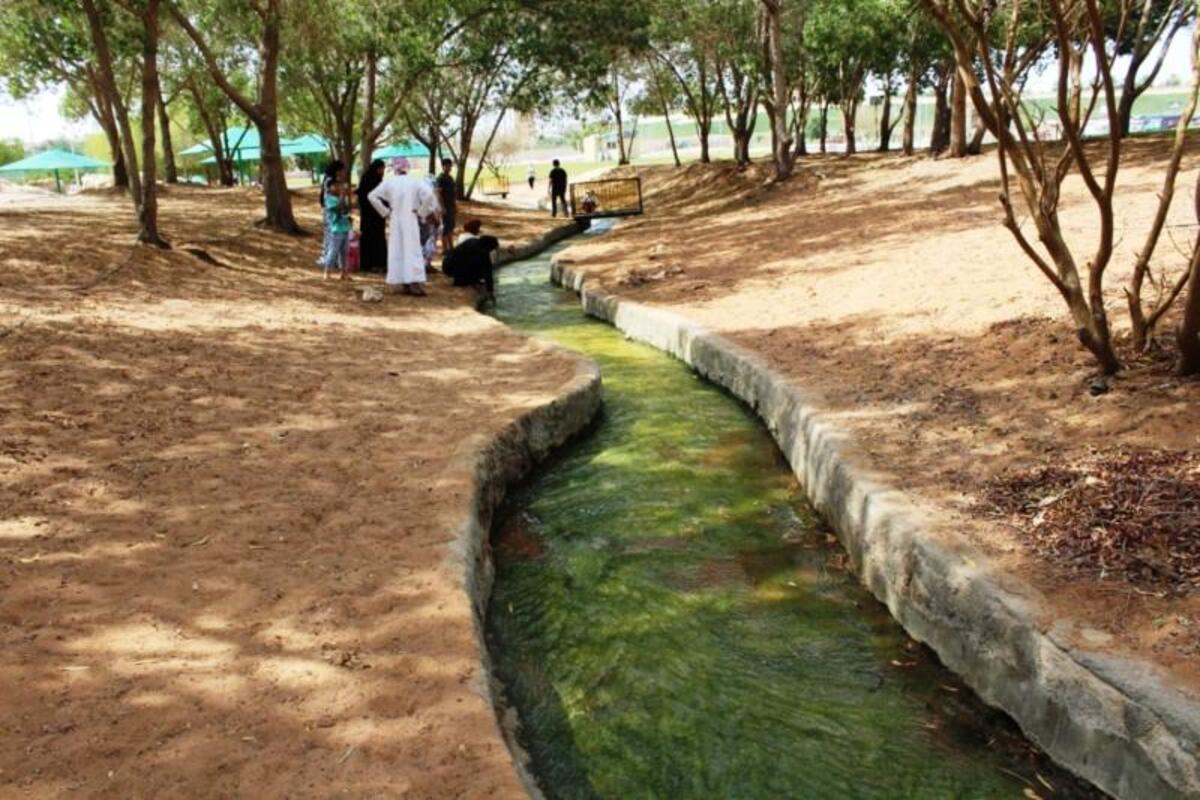 Al Ain Full Day Tour with Lunch from Dubai