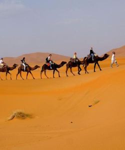 4X4 Desert Safari with BBQ Dinner