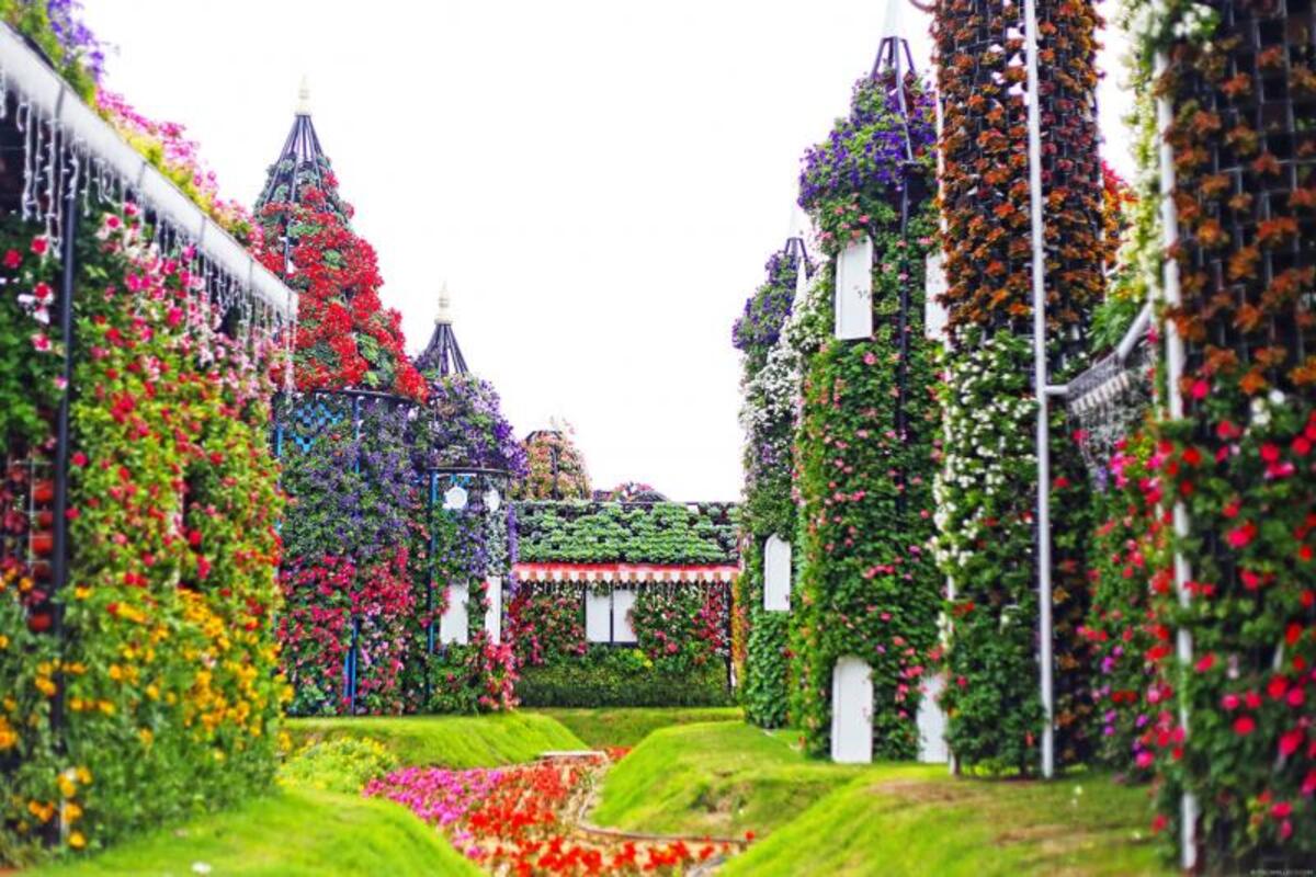 Miracle Garden: Flora & Fauna Tour
