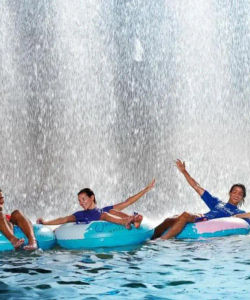 Entrance to Wild Wadi Water Park – Ticket Only 