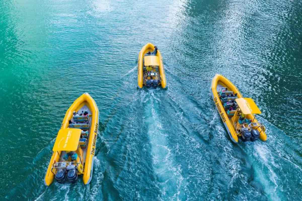 The Yellow Boats Dubai