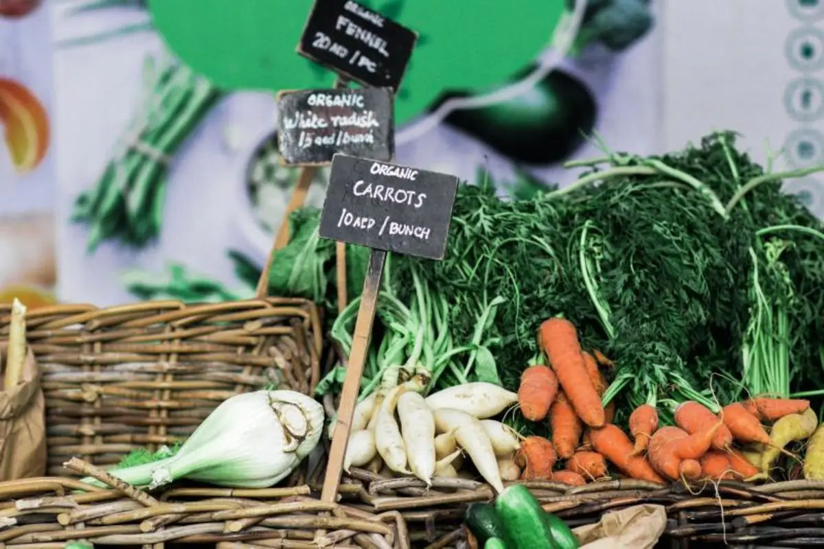 Dubai Local Food Experience Tour