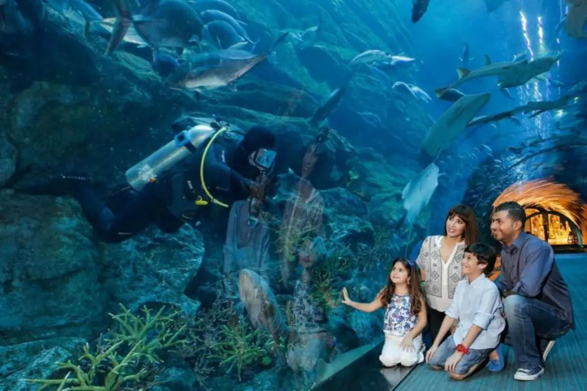 Dubai Aquarium and Underwater Zoo Entrance Ticket