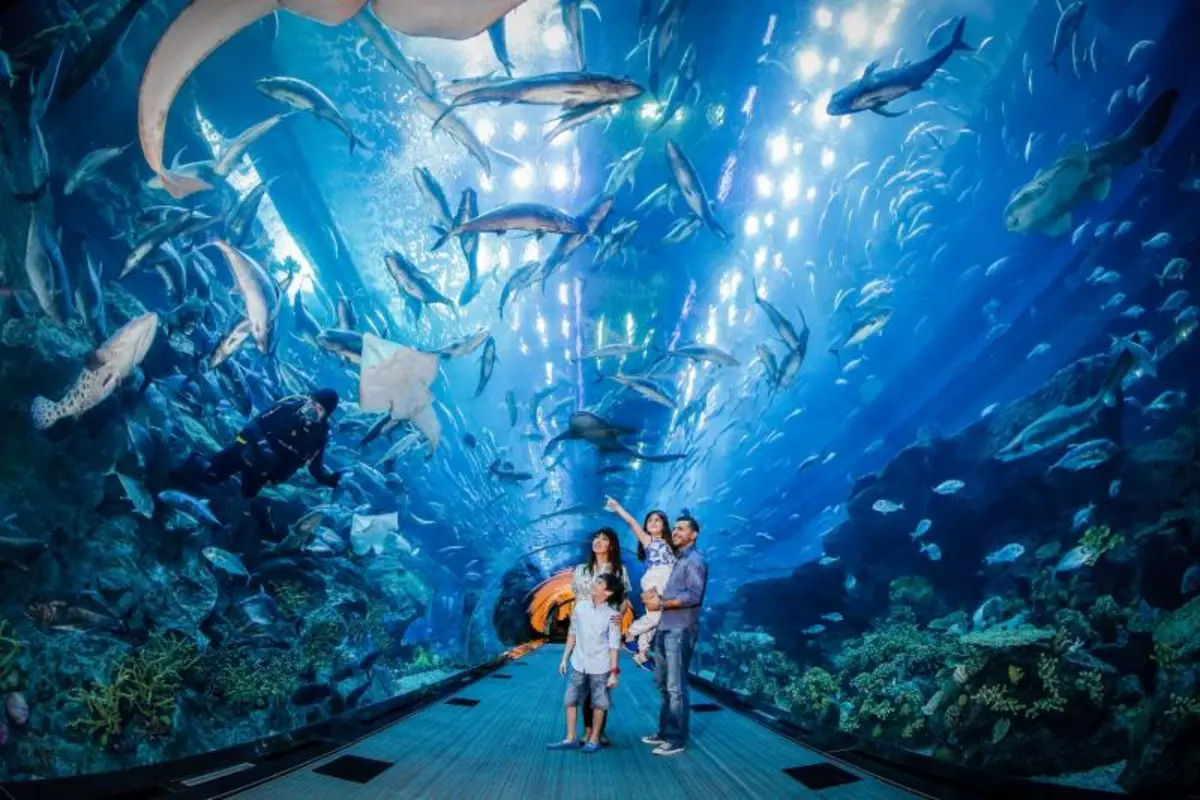 Dubai Aquarium and Penguin Encounter