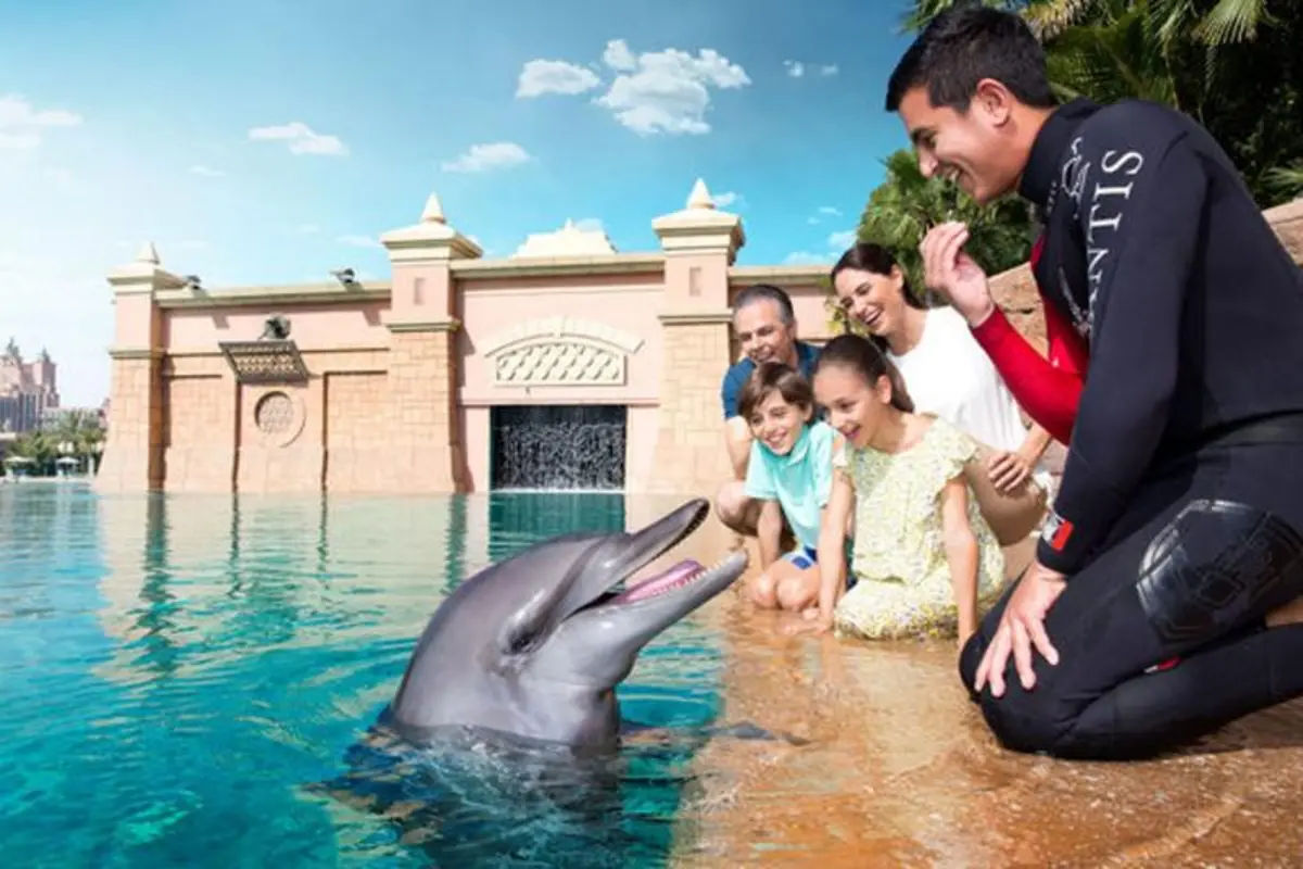 Entrance Ticket to Dolphin Bay Atlantis in Dubai
