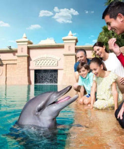 Dolphin Bay Atlantis in Dubai – Entrance Ticket