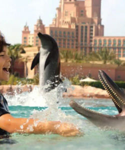 Dolphin Bay Atlantis in Dubai – Entrance Ticket