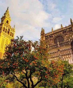 Majestic Seville - Panoramic Tour of Seville by Minibus