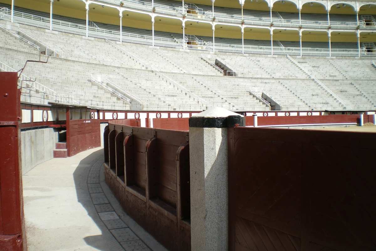 Tour to Las Ventas Bullring and Bullfighting Museum