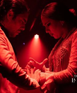 Flamenco Show at Tablao La Carmela