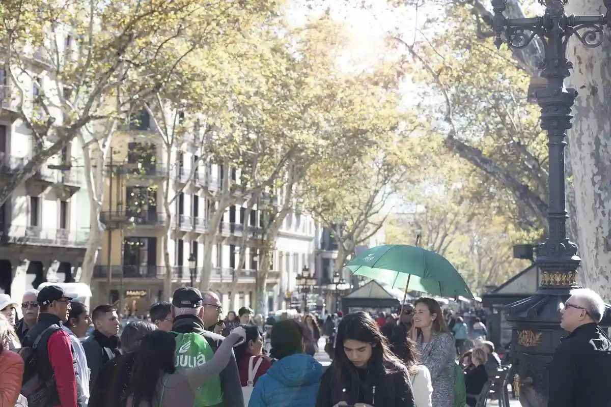 Barcelona Full Day: City Highlights