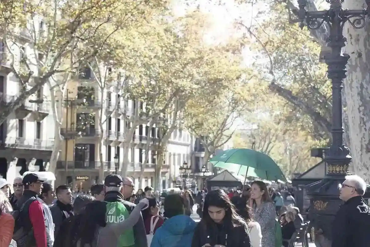 Barcelona Highlights, Sagrada Familia and Park Guell