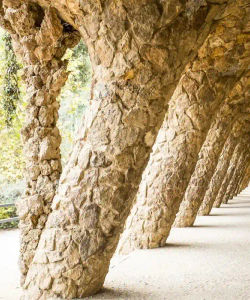 Sagrada Familia Tour and Artistic - The Best of Gaudi with Park Guell Visit