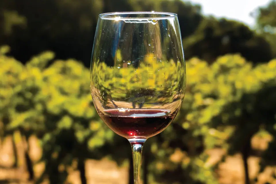 San Francisco Full Day Wine Country Tour
