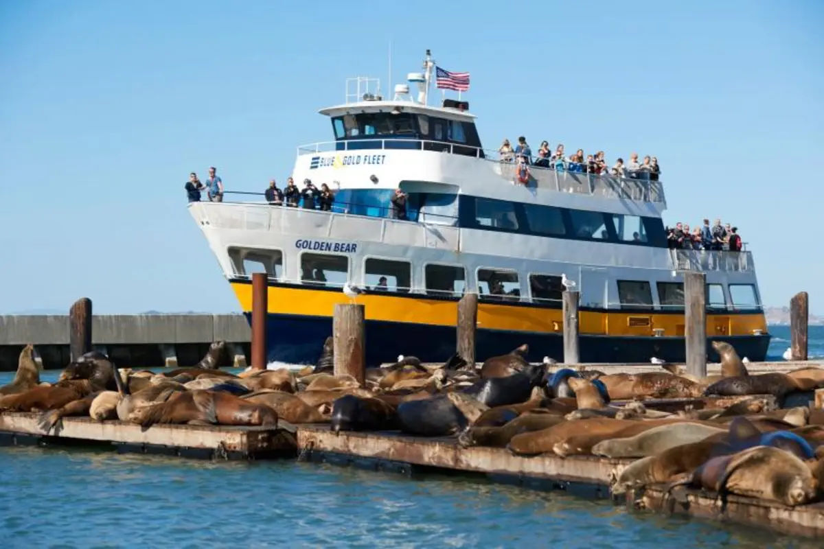 San Francisco Bay Cruise Adventure