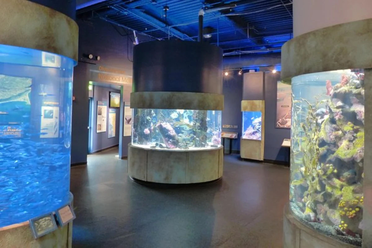 Aquarium of the Bay – Ticket Only