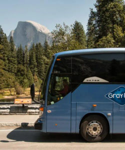 Yosemite National Park with One-Way Transfers