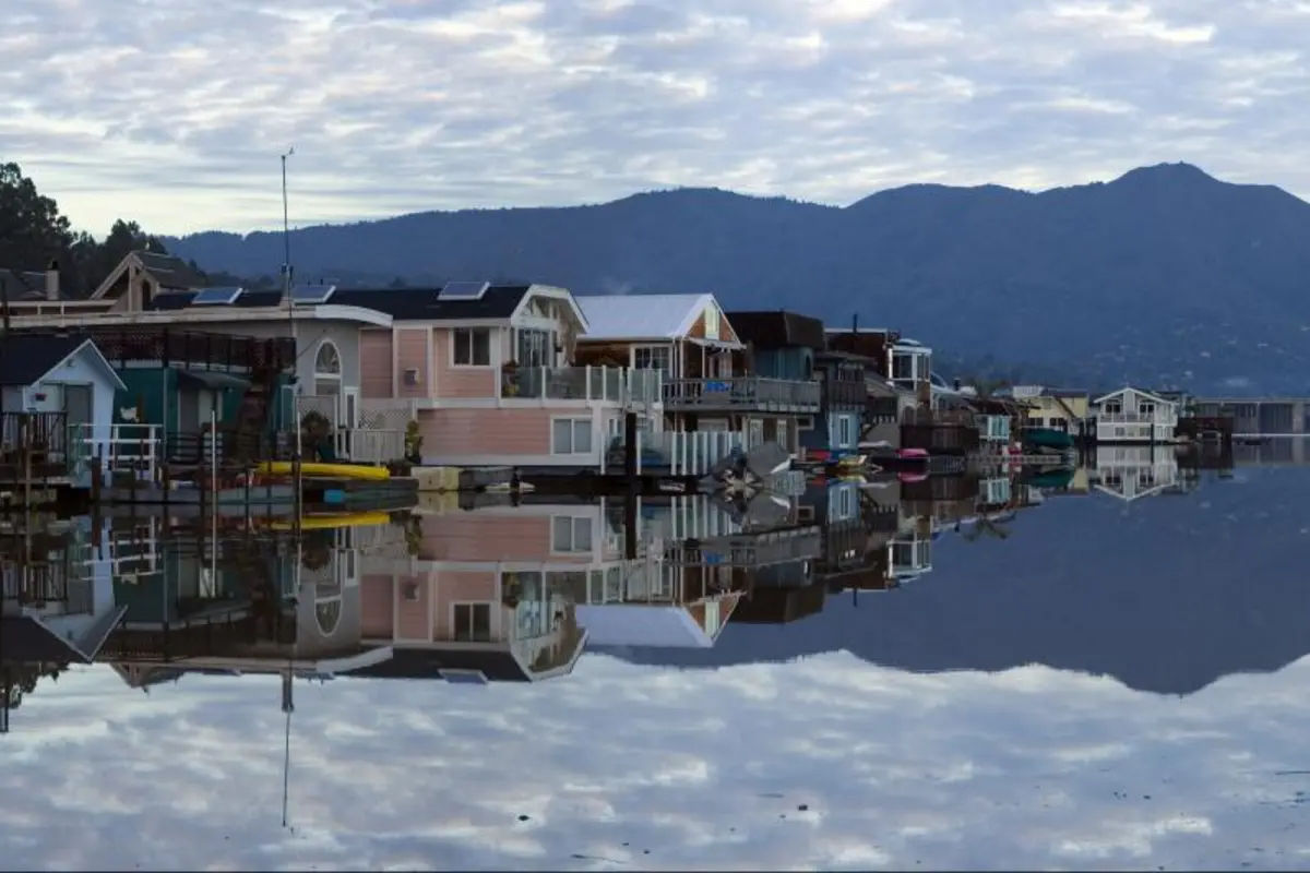 San Francisco Grand City Tour with Muir Woods & Sausalito