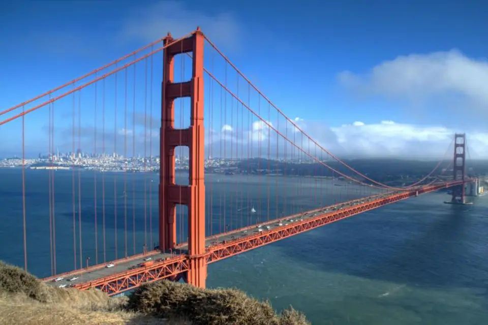 San Francisco Grand City Tour & Aquarium of the Bay