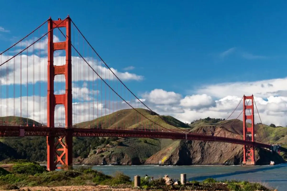 San Francisco City Tour (AM) and Bay Cruise (PM)