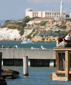San Francisco Grand City Tour and Alcatraz Island Tour in Evening 