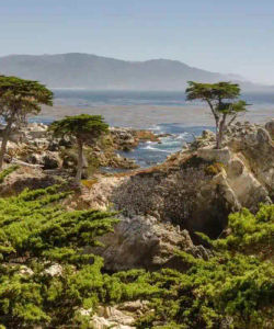 Monterey, Carmel and 17-Mile Drive Full Day Tour 