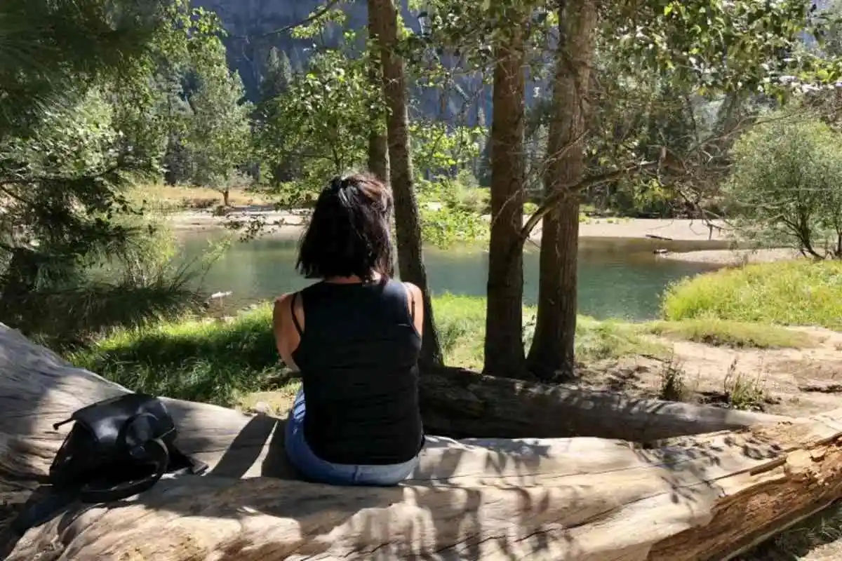 Yosemite National Park Day Tour