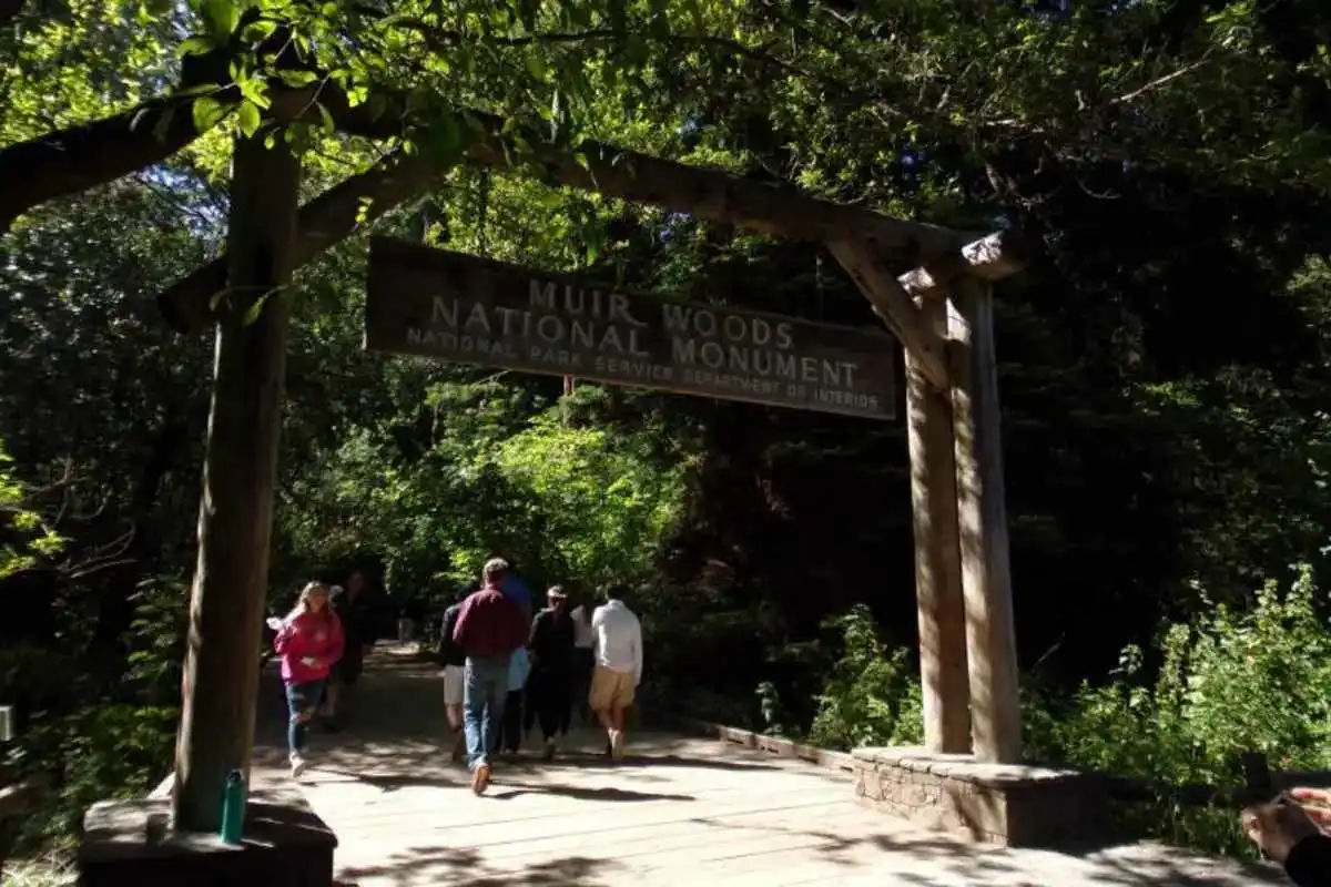 Muir Woods & Sausalito Tour