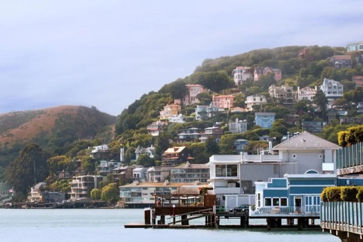 Muir Woods & Sausalito Tour