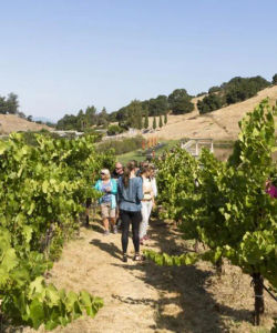 Napa Valley & Sonoma Wine Country Tour 